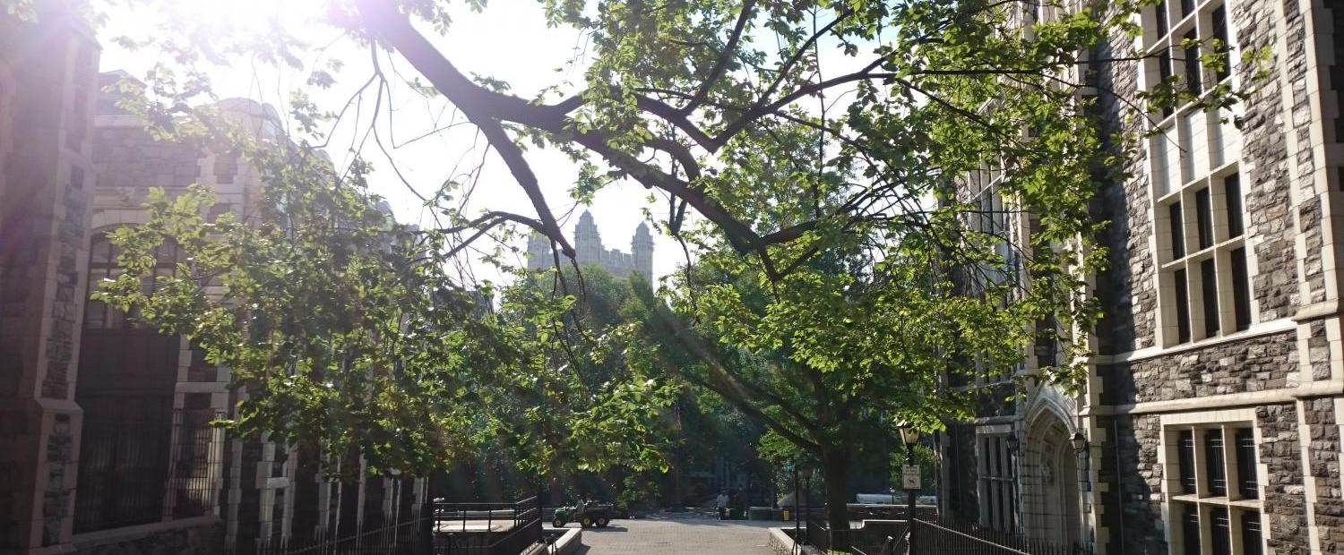 The City College of New York Campus